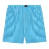 FW21 Gestreifte Shorts «Blue» 6583964A8B74900